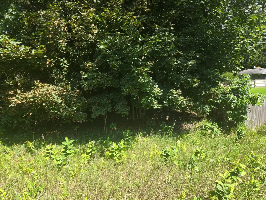 VL Whitehall Road, Whitehall, MI 49461 - Image #3