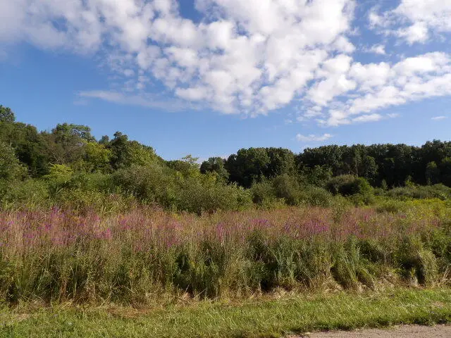 2747 M Drive S, Athens, MI 49011 - Image #2