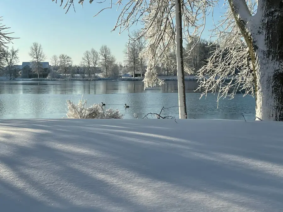 585 Norvell Beach Drive, Brooklyn, MI 49230 - Image #3