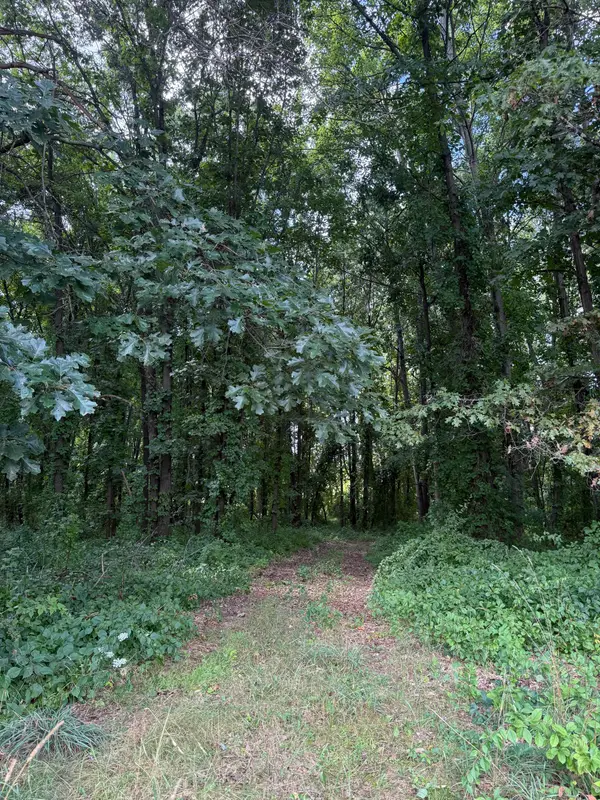 C Drive N, Albion, MI 49224