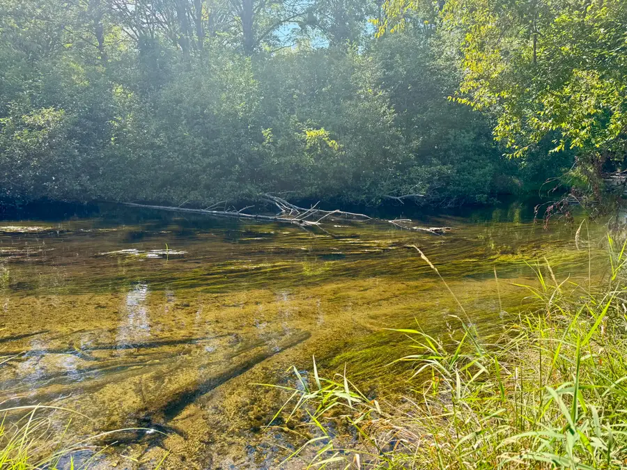 6685 Cedar Trace, Canadian Lakes, MI 49346 - Image #2