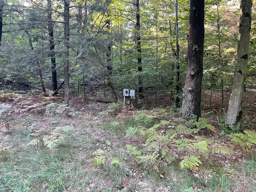 10445 W Woodrow Road, Shelby, MI 49455 - Image #2