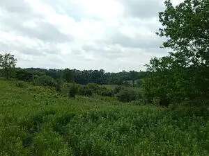 0 W Territorial Road, Montgomery, MI 49255 - Image #2