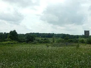 0 W Territorial Road, Montgomery, MI 49255 - Image #3