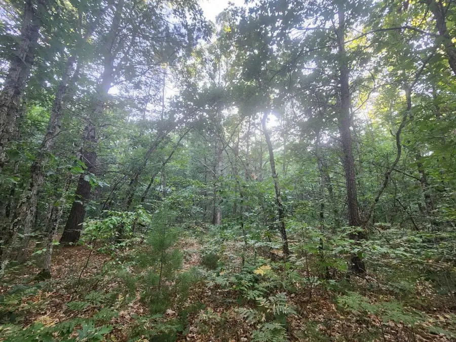 V/L Whitmire Road, Holton, MI 49425 - Image #2