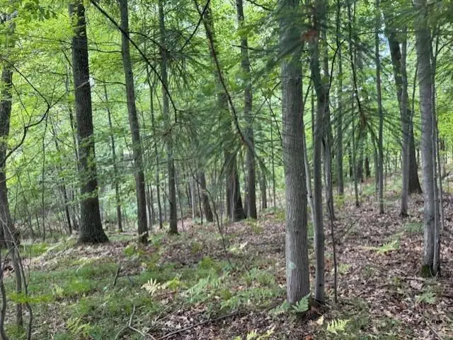 3518 Sunrise Ridge #22, Twin Lake, MI 49457 - Image #3