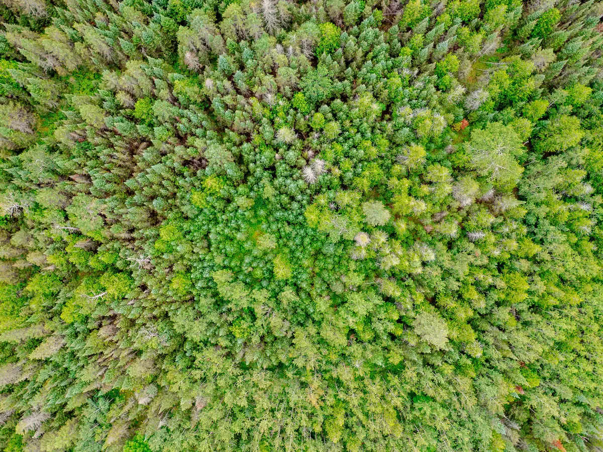 V/L Us-02 Highway #Lot 1, Gould City, MI 49838 - Image #1