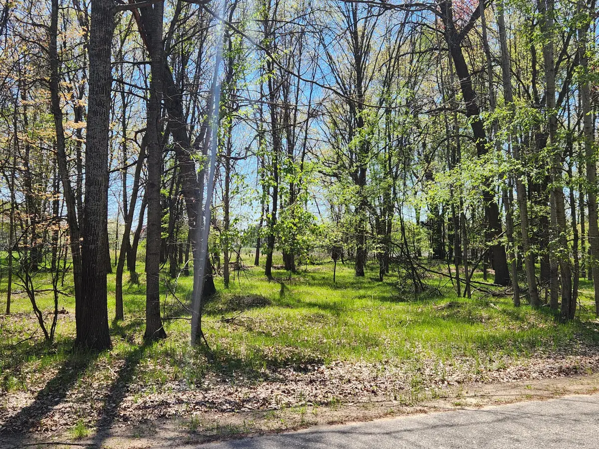 6923 Abbey Lane, Canadian Lakes, MI 49346 - Image #1