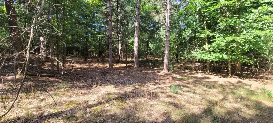 S 32nd Avenue, Shelby, MI 49455 - Image #2