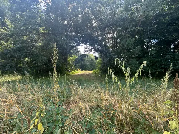 0 V/L M-66, Athens, MI 49011