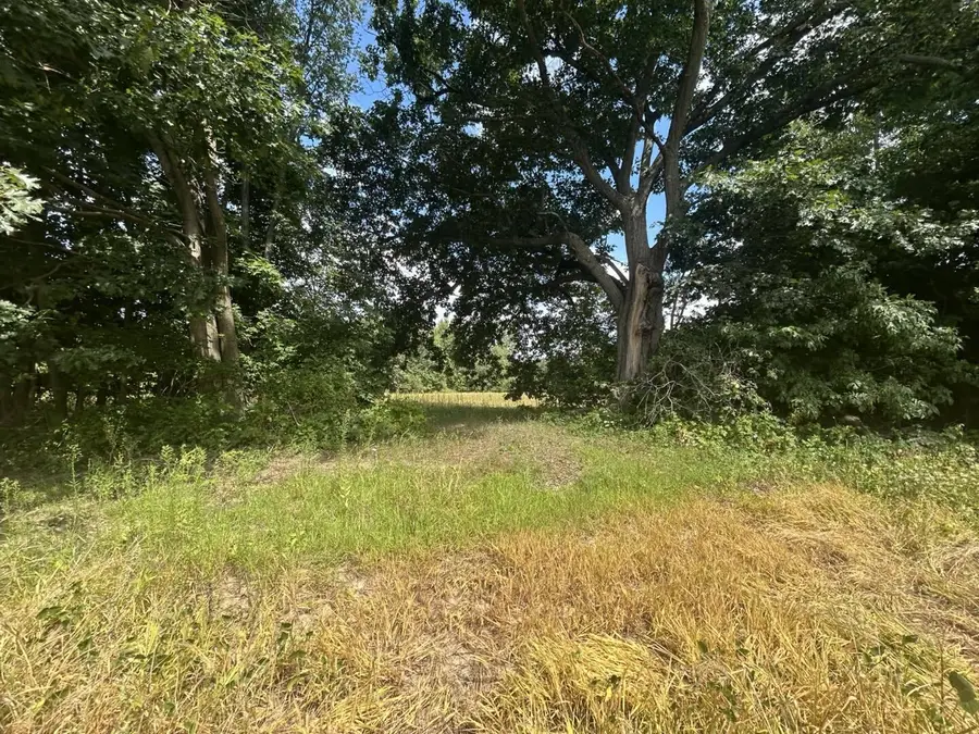 0 V/L M-66, Athens, MI 49011 - Image #2