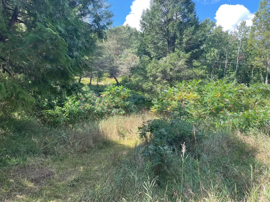 4623 S Seymour Drive, New Era, MI 49446 - Image #2