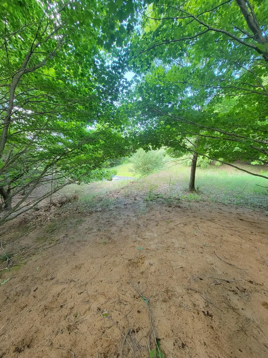 Maxey Road #7.2 acres, Arcadia, MI 49613 - Image #3