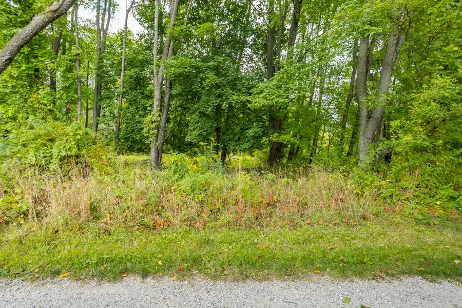 V/l 60th St Par C, Alto, MI 49302 - Image #3