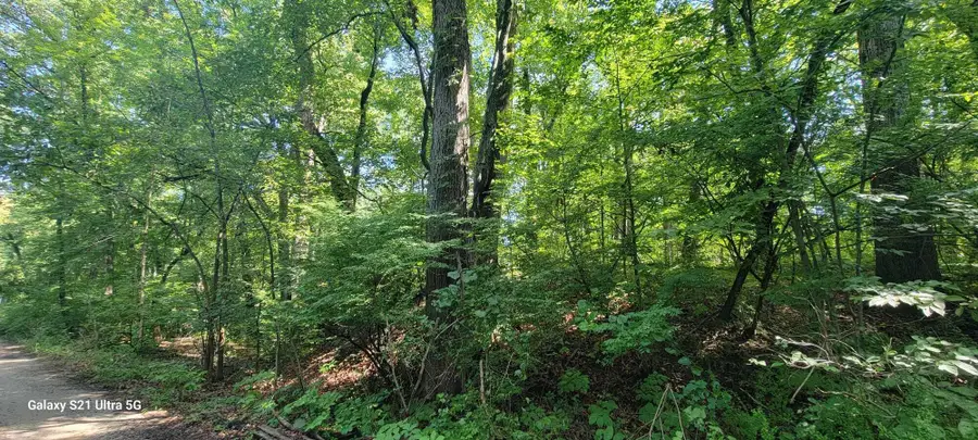 19343 Ravine Drive, New Buffalo, MI 49117 - Image #2