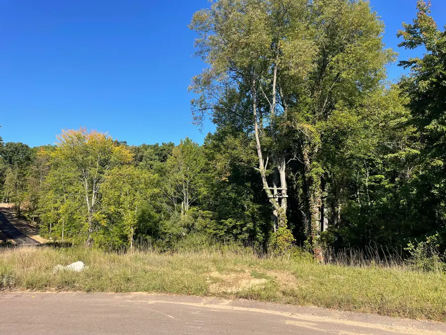 3041 Elk Antler Avenue, Plainwell, MI 49080 - Image #3