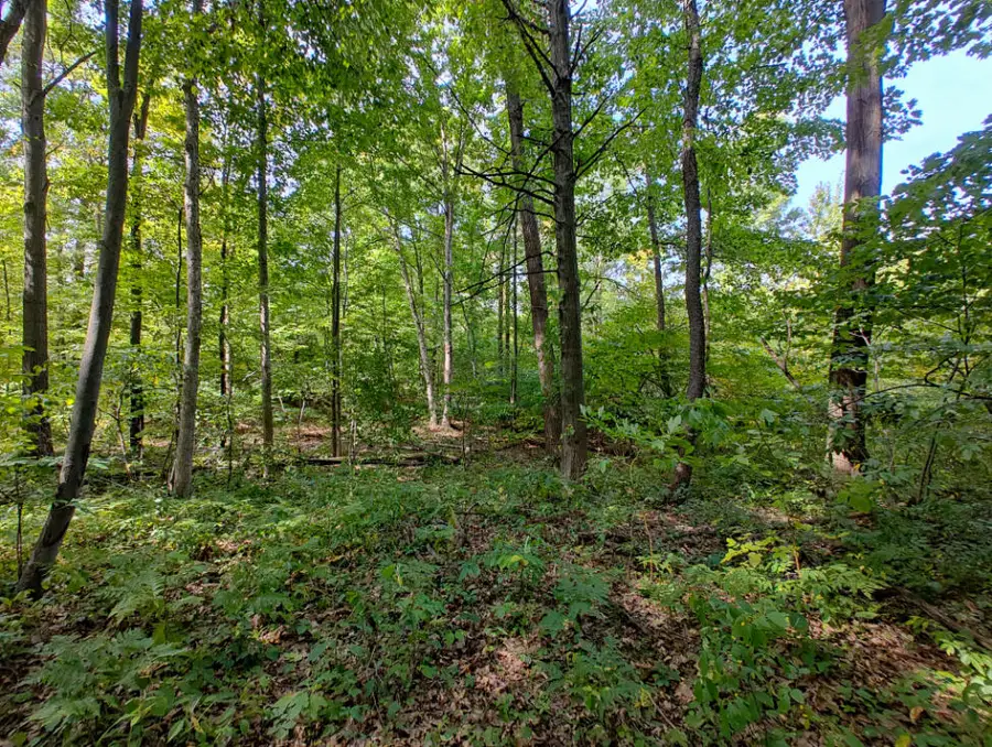 VL 80th Avenue, Zeeland, MI 49464 - Image #2