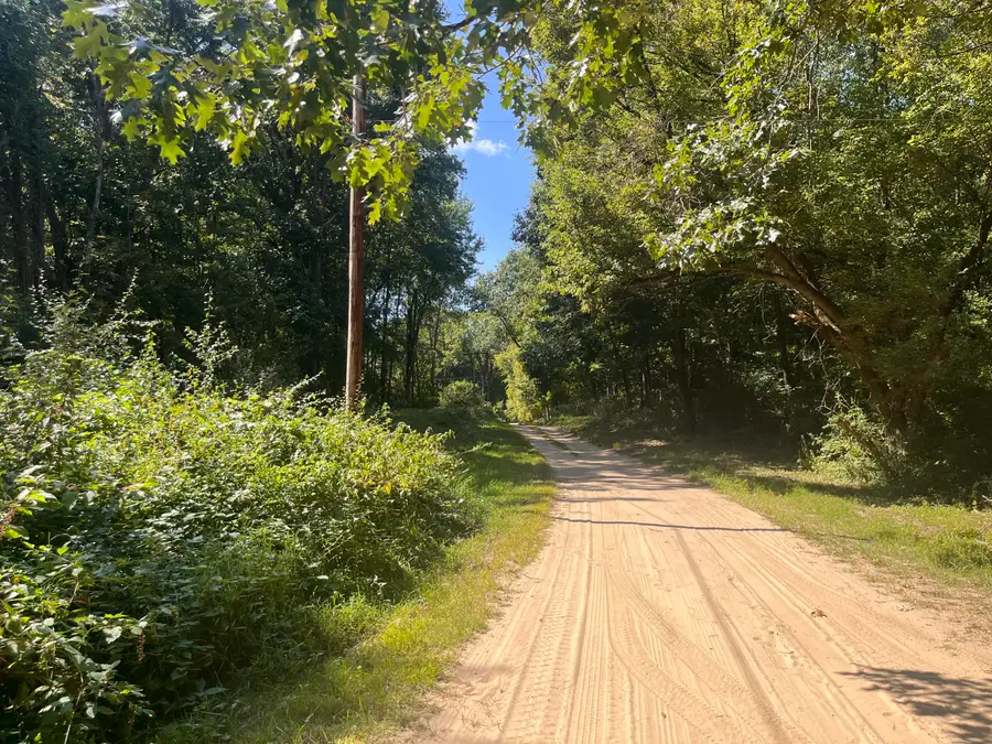 Central Drive, Grass Lake, MI 49240 - Image #3