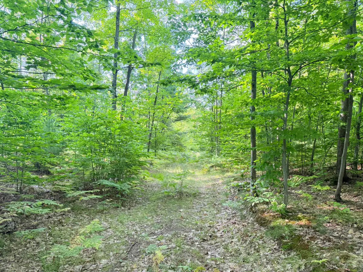 VL 3 Mile Road, Luther, MI 49656 - Image #1