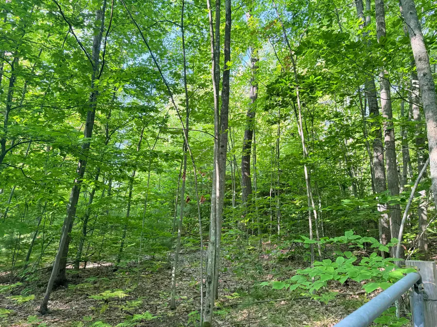 VL 3 Mile Road, Luther, MI 49656 - Image #2