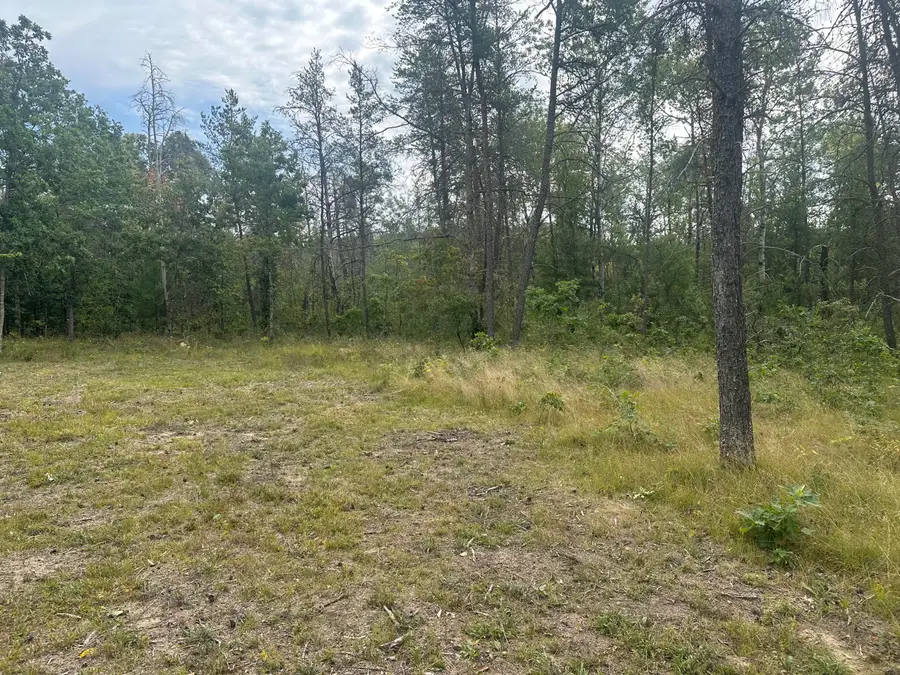 00 Spruce Road, Idlewild, MI 49642 - Image #2
