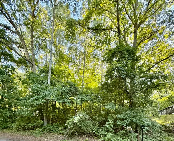 12432 Mcmurty Drive, Sand Lake, MI 49343