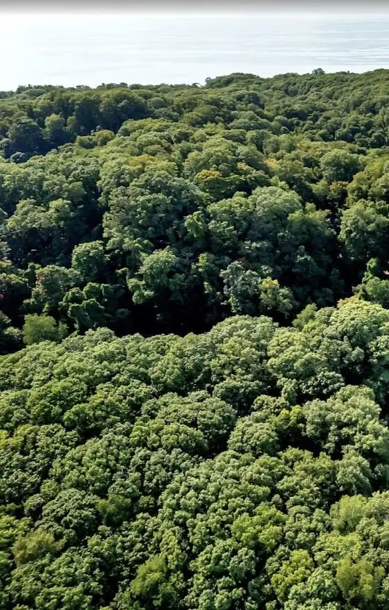 12879 Lakeshore Drive #LOT, Grand Haven, MI 49417 - Image #1