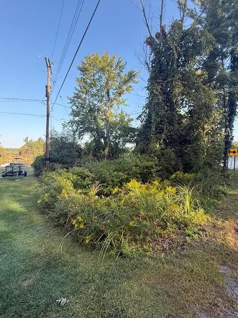 10345 Morgan Mills Avenue Ne, Greenville, MI 48838 - Image #2