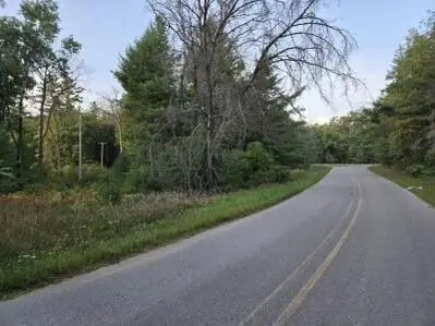 V/L Lake Drive, Idlewild, MI 49642 - Image #3