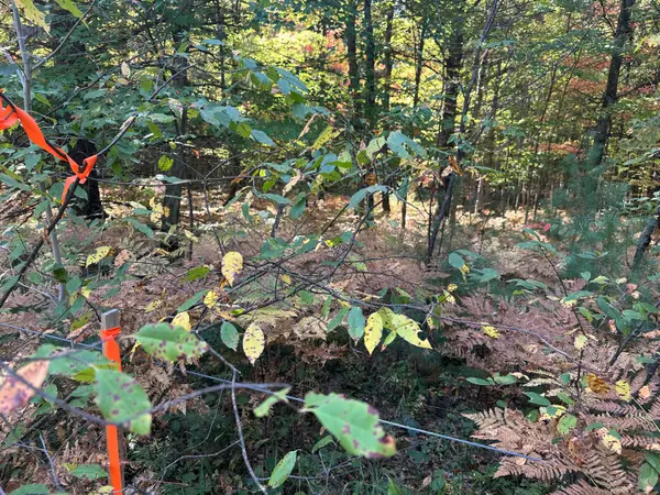 PAR D 16th Street, Baldwin, MI 49304