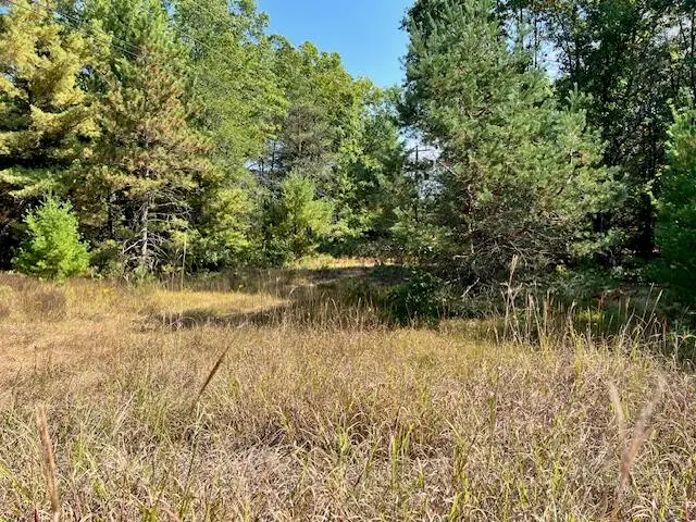 0 N Centerline Road, White Cloud, MI 49349 - Image #3