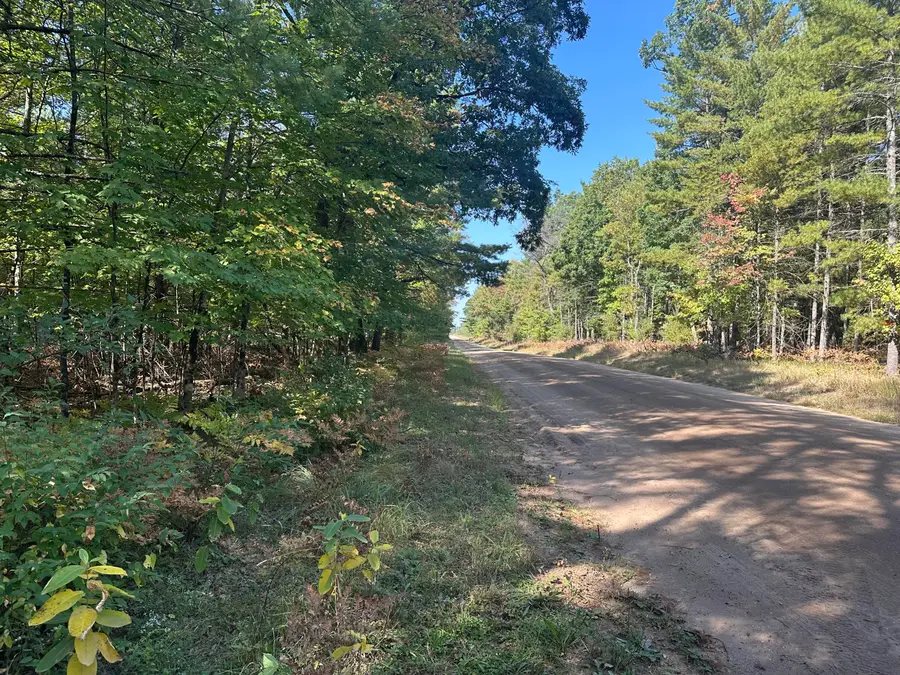 PAR D 16th Street, Baldwin, MI 49304 - Image #2