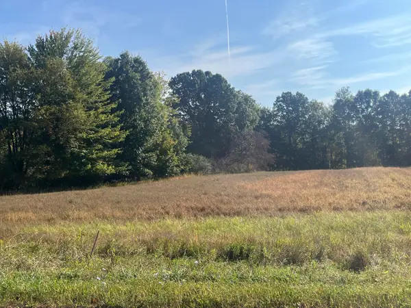 VL N Williamston Road, Dansville, MI 48819