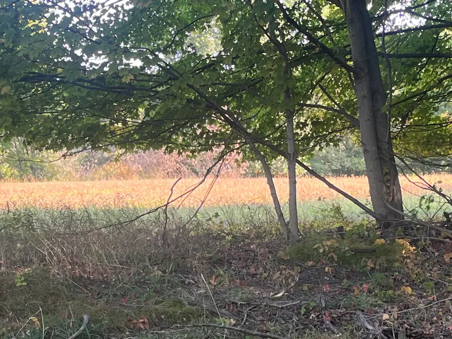 VL N Williamston Road, Dansville, MI 48819 - Image #3