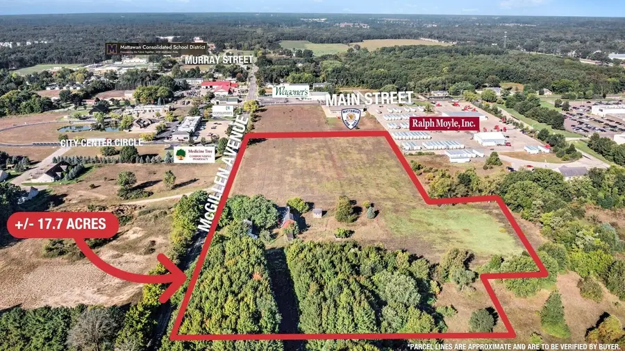 23440 E Mcgillen Avenue #Parcel B, Mattawan, MI 49071 - Image #2