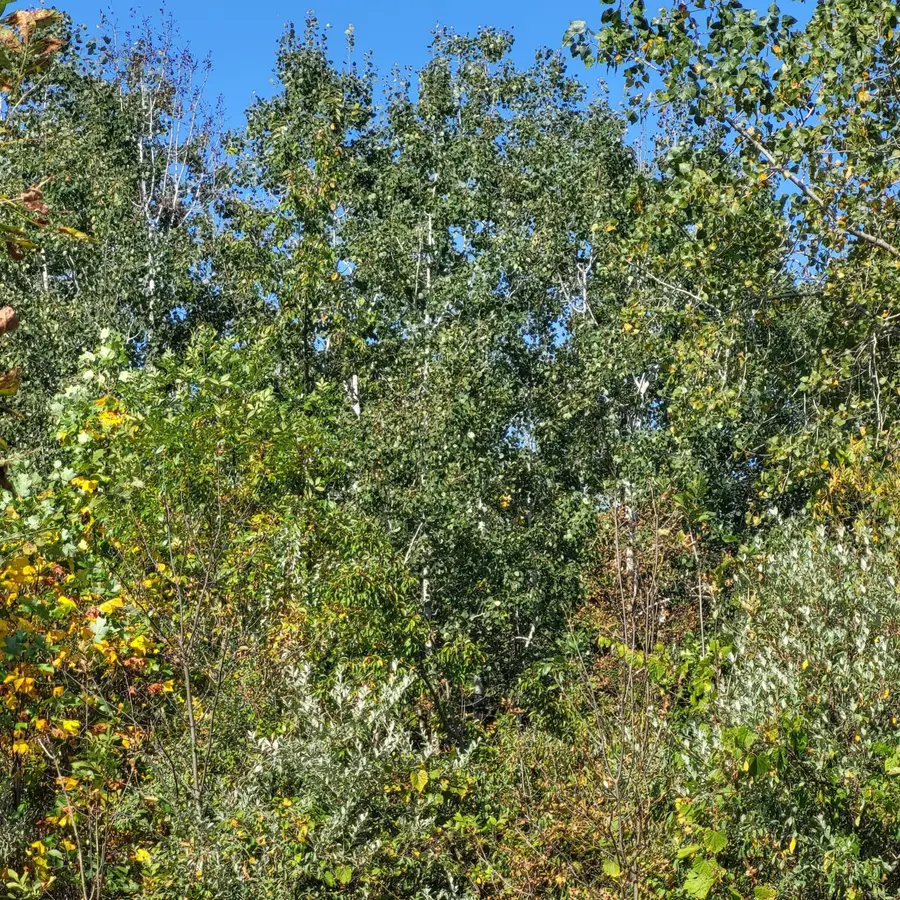 18020 Hoder Road, New Buffalo, MI 49117 - Image #2