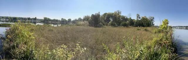 5 Pickeral Avenue, Union, MI 49130 - #1