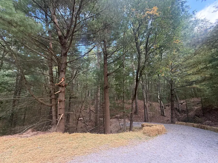 VL Lenox, Pentwater, MI 49449 - Image #3