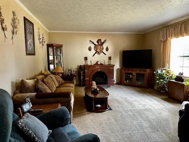 152 N Greenback St, Hesperia, MI 49421 - Image #3