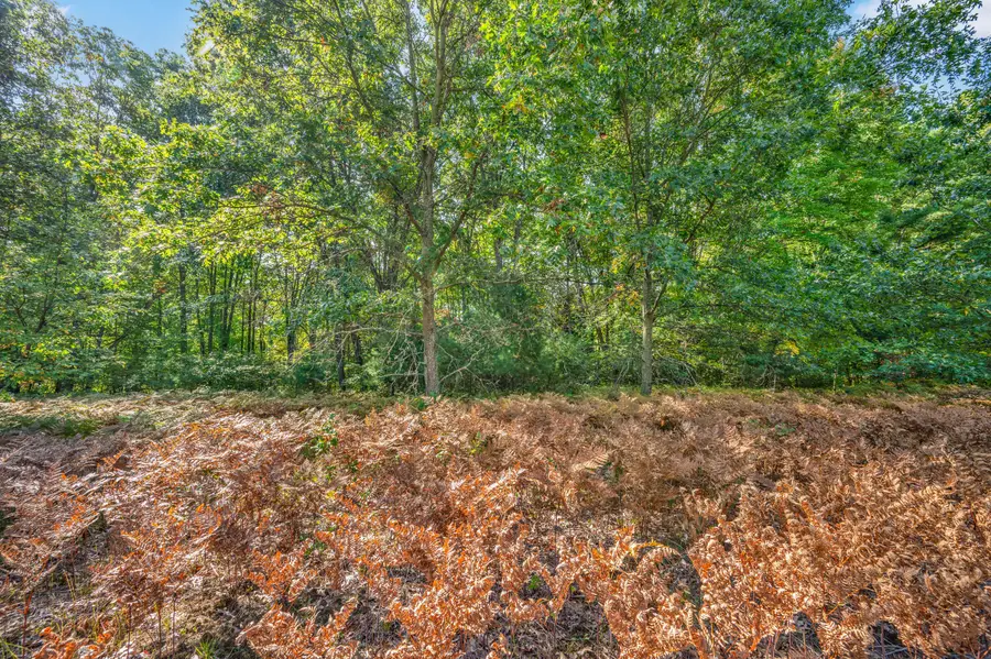 Lot 7 University Club Dr, Big Rapids, MI 49307 - Image #3
