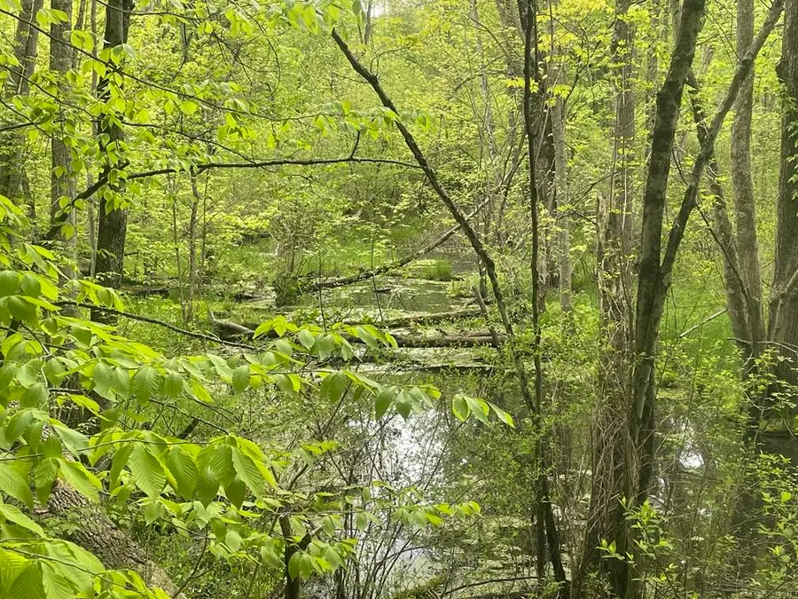 6650 103rd Avenue, South Haven, MI 49090 - Image #2