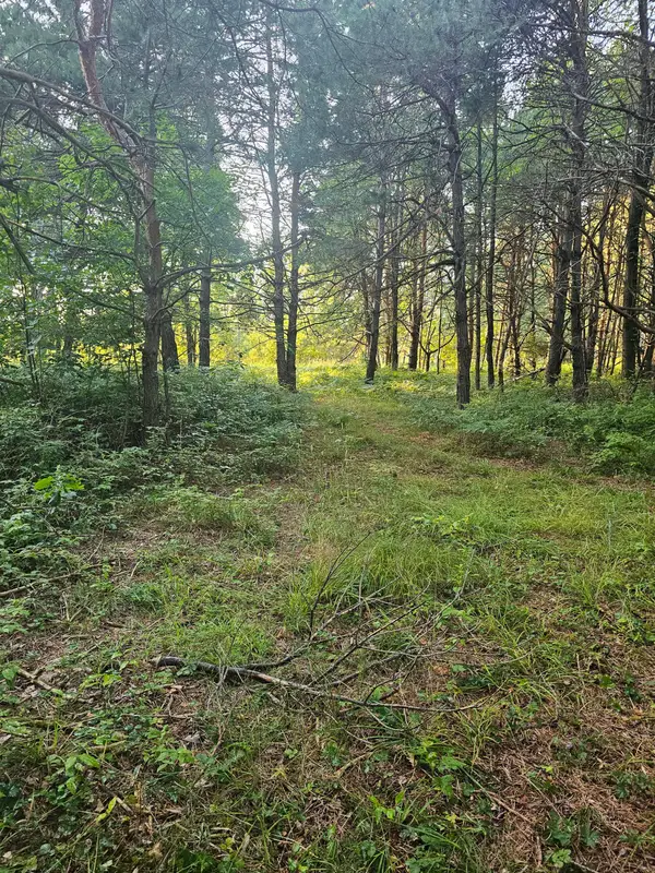 15410 Johnson Road, Kaleva, MI 49645