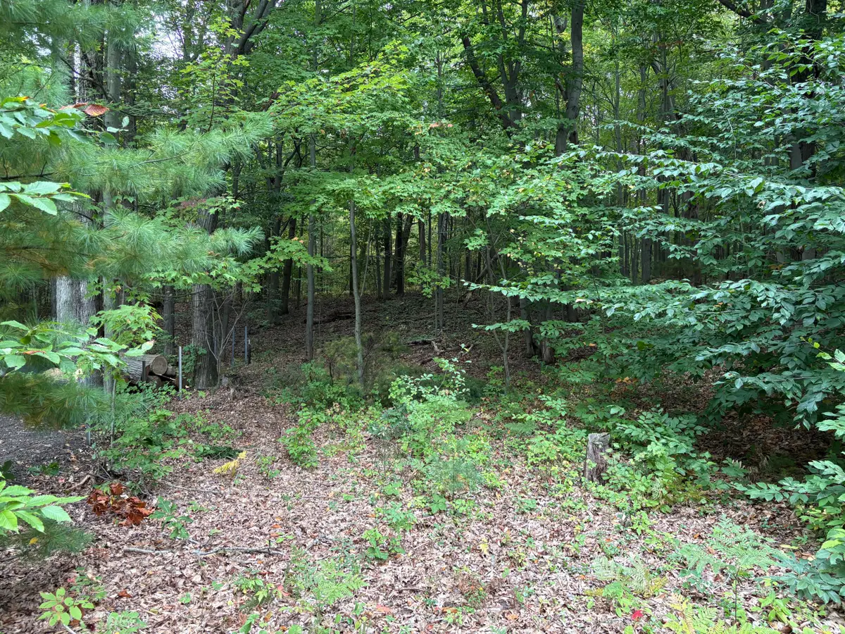 Lot 62, 14th Avenue, Mears, MI 49436 - Image #1