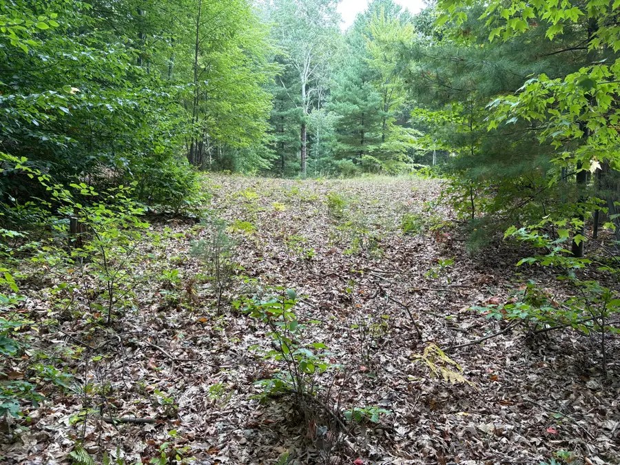 Lot 62, 14th Avenue, Mears, MI 49436 - Image #2