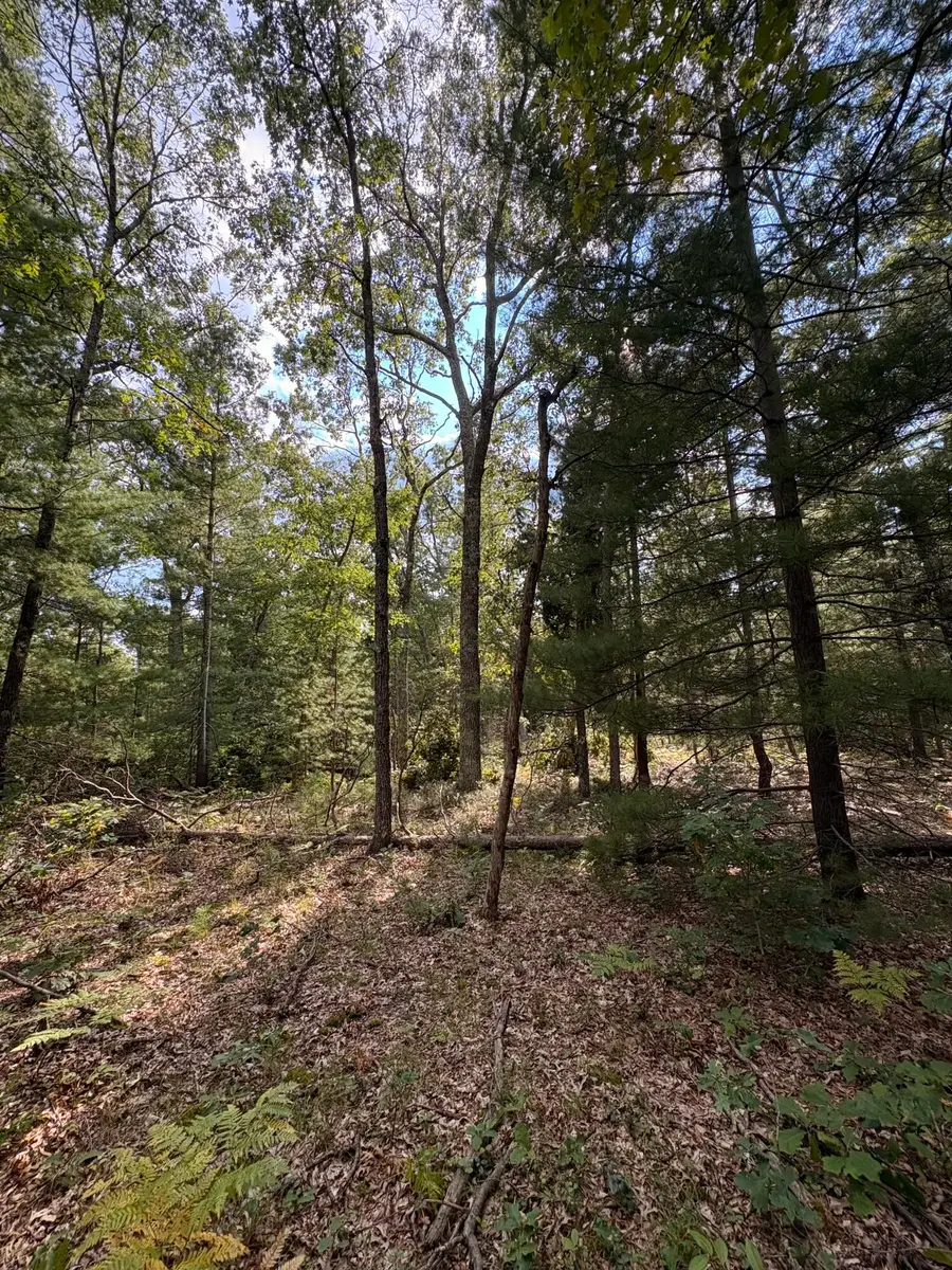 0 S Shady Grove Drive, Baldwin, MI 49304 - Image #2