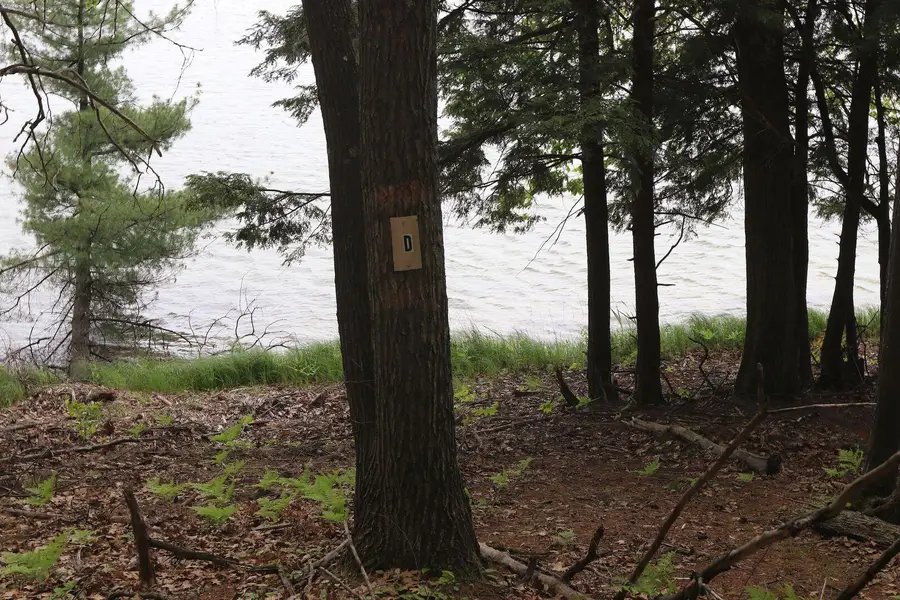 V/L Tranquil Wood Ln, Bellaire, MI 49615 - Image #2