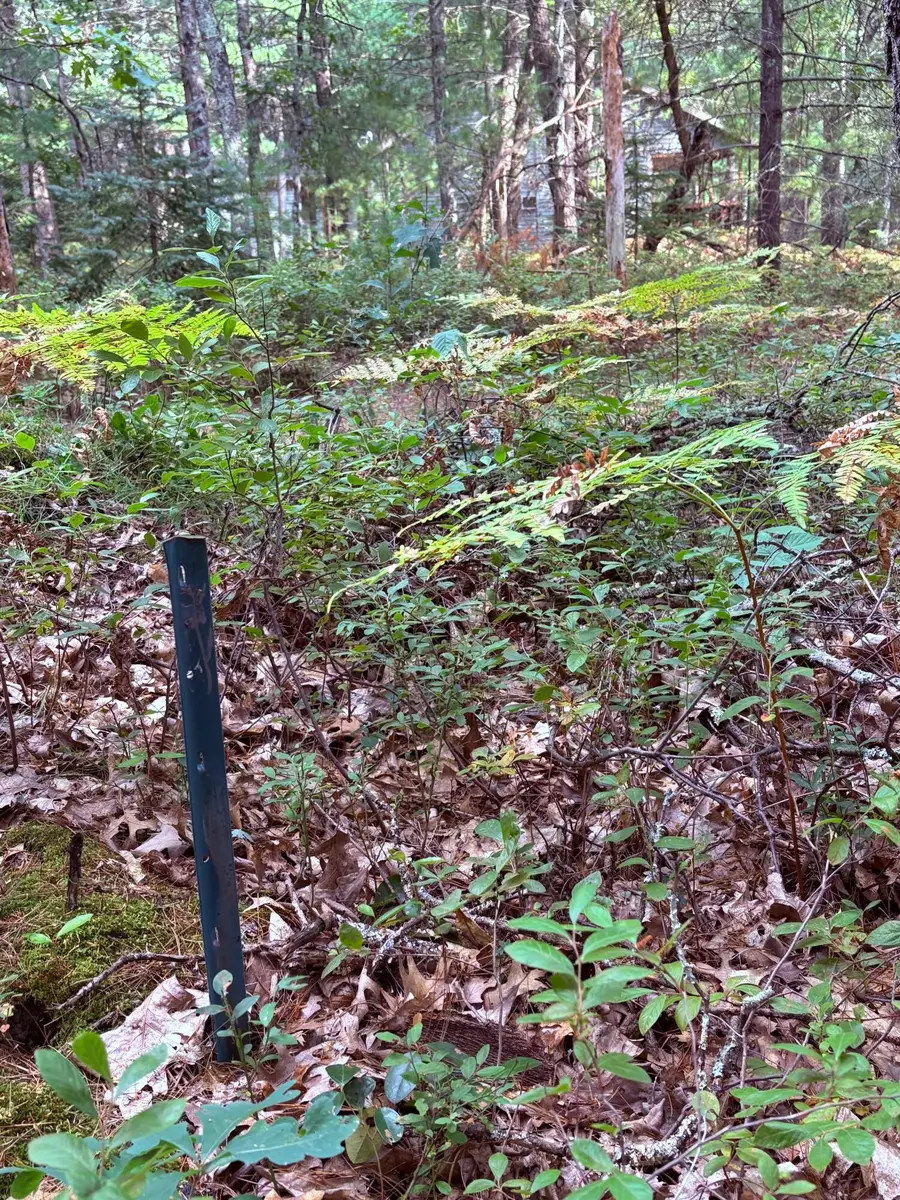 00 S Shady Grove Drive, Baldwin, MI 49304 - Image #2