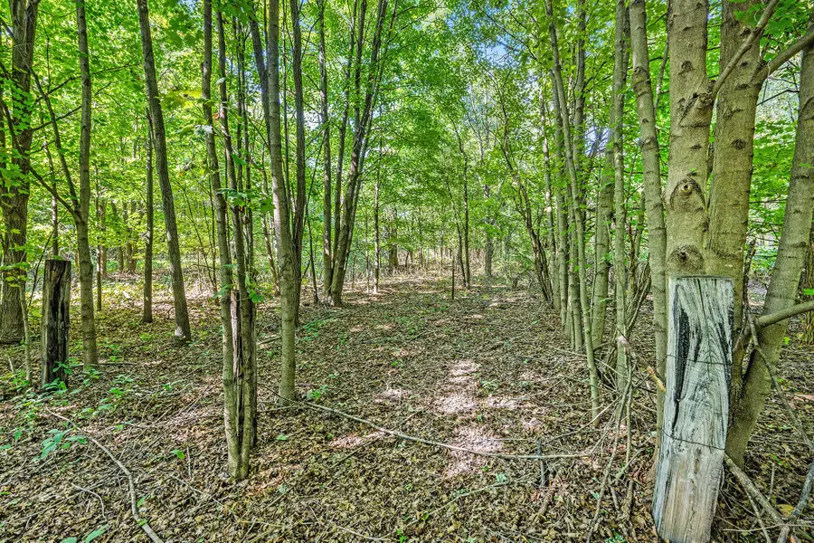 V/L 56th Avenue, Paw Paw, MI 49079 - Image #3