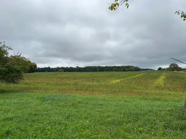 Parcel 5 Woodland Road, Woodland, MI 48897