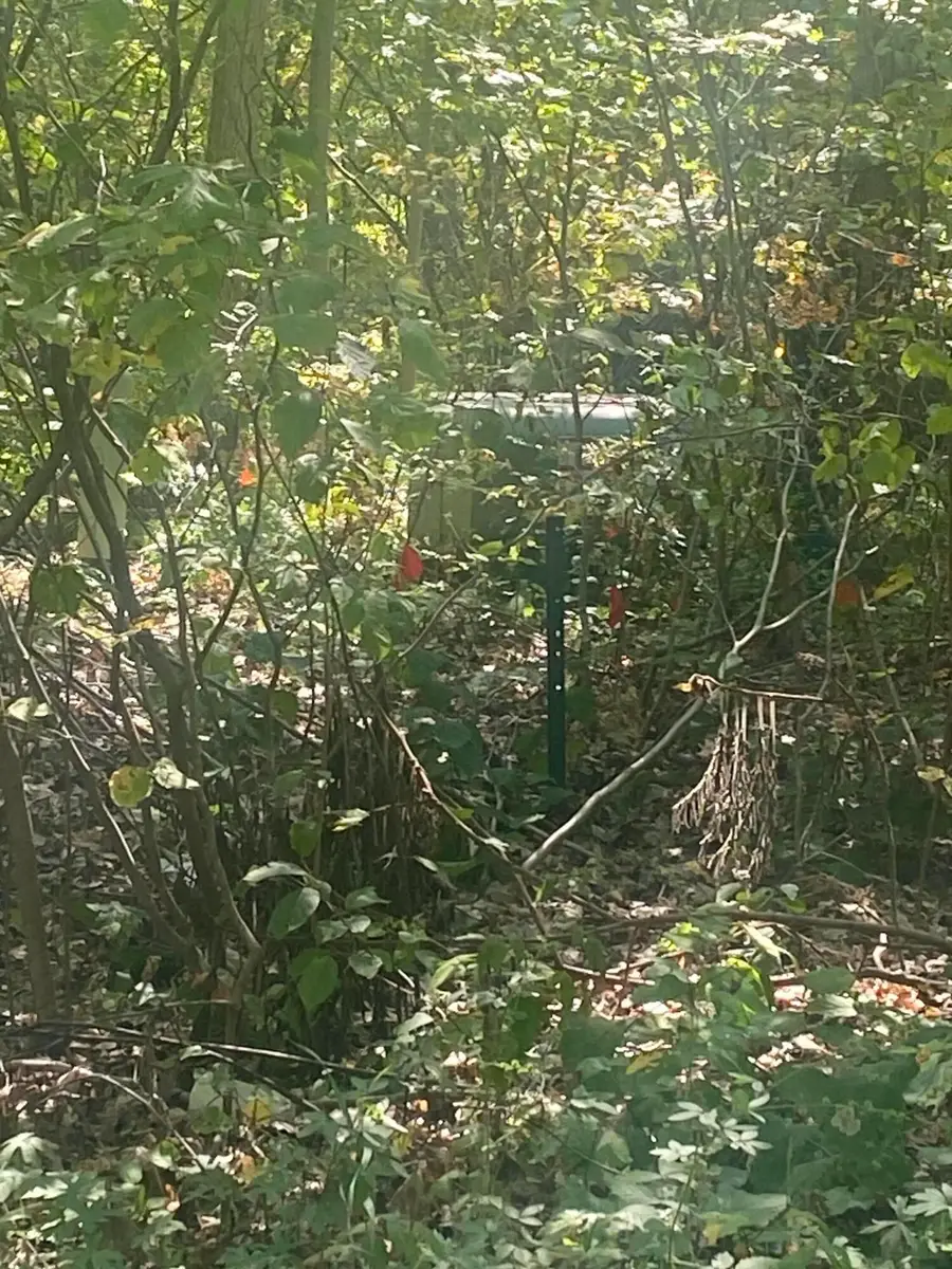 7813/7831 Wilderness Drive, Weidman, MI 48893 - Image #2